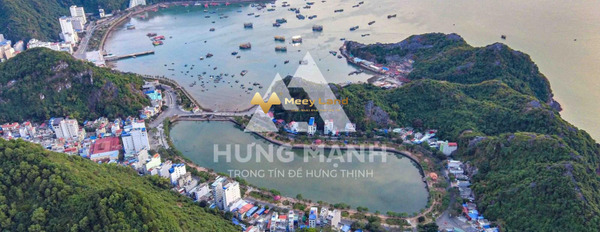 Gấp rút quay vốn bán nhà diện tích chuẩn 101 m2 bán ngay với giá thương mại từ 8.5 tỷ vị trí đẹp ngay tại Đường Tùng Dinh, Huyện Cát Hải hướng Tây tro...-02