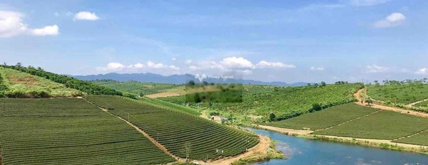 Nằm tại Bảo Lâm, Lâm Đồng bán đất 818 triệu diện tích rất rộng 97.5m2-02