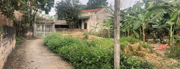 Bán đất thôn chùa Vàng, Minh Quang, Tam Đảo, diện tích 181m2, giá 390 triệu-03
