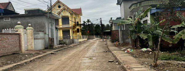 Chính chủ gửi bán lô đất mặt đường thôn 7 Hoàng Động ngay cổng sau KCN Nam Cầu Kiền -02