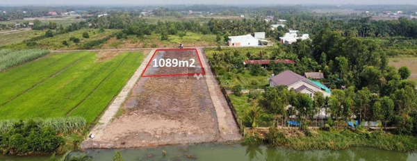 Phạm Thái Bường, Đồng Nai bán đất giá bán thực tế 1.35 tỷ có diện tích 1000m2-02