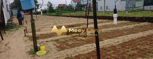 Bán đất với diện tích rộng 200m2 vị trí đặt tọa lạc ở Võ Như Hưng, Quảng Nam-02