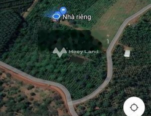 Vị trí mặt tiền tọa lạc trên Đắk Nia, Đắk Nông bán đất, giá bán tốt bất ngờ 10.8 tỷ có diện tích sàn 40000m2-02