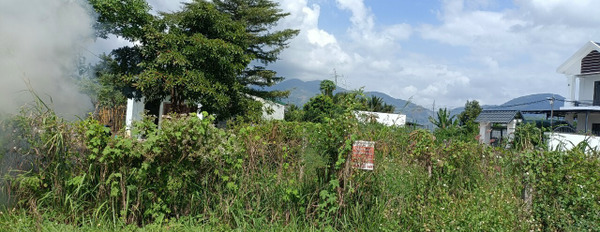 Bán đất Diên Sơn full thổ mặt tiền đường Liên Xã - ngay sau lưng nhà thờ Cây Vông-02