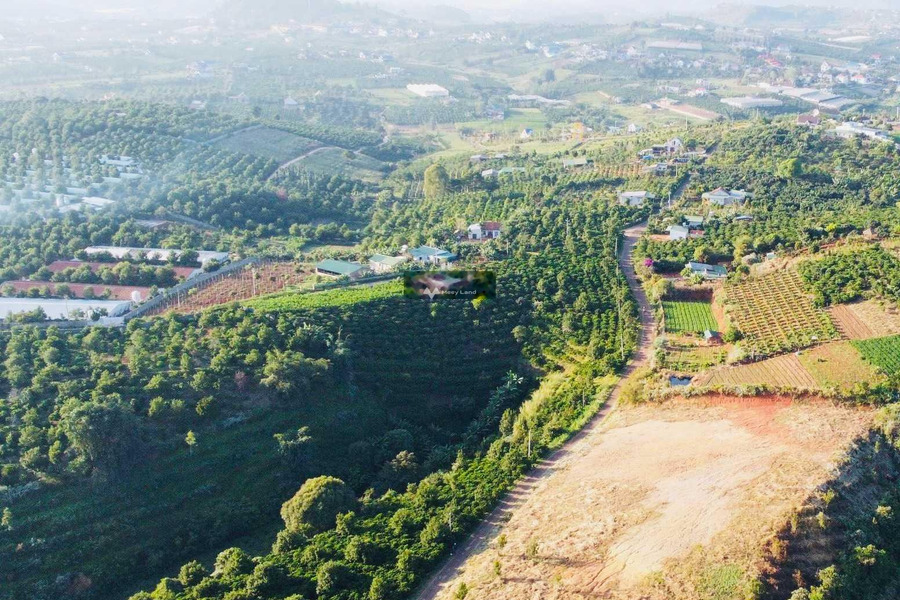 Giá bán thương lượng chỉ 1.87 tỷ bán đất có diện tích trung bình 1100m2 vị trí đẹp nằm ở Nam Hà, Lâm Đồng-01