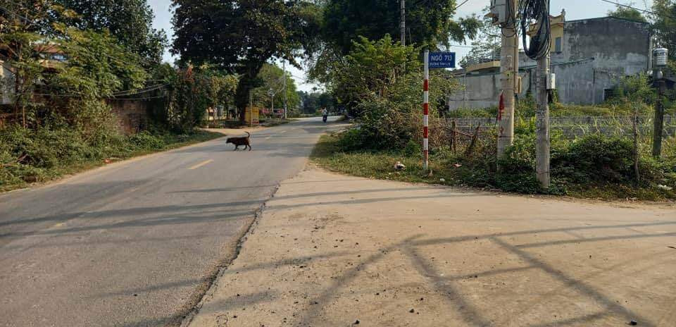 Chính chủ cần bán mảnh đất mặt đường 416 ở xã Kim Sơn, thị xã Sơn Tây, thành phố Hà Nội