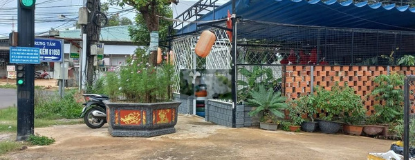 Diên Phú, Gia Lai 420 triệu bán đất diện tích chuẩn là 300m2-02