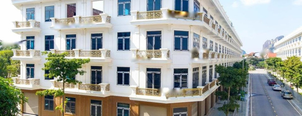 Bán ngay với giá thương mại 3.2 tỷ diện tích 60m2 bán shophouse Phía trong Thanh Hóa, Thanh Hóa liên hệ liền-03