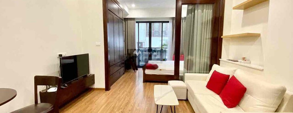 Chung cư 1 PN, cho thuê căn hộ vị trí đẹp tại Liễu Giai, Hà Nội, tổng quan ở trong căn hộ 1 phòng ngủ, 1 WC liên hệ chính chủ-02