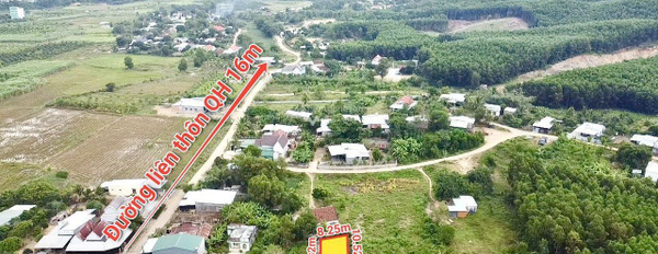 Diên Khánh, Khánh Hòa bán đất giá bán đề cử 399 triệu, hướng Tây - Bắc diện tích vừa phải 102m2-02