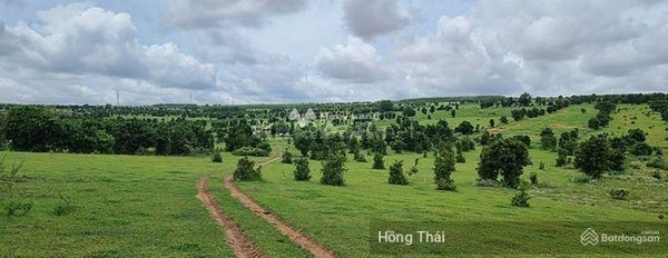 Giá cơ bản 2.01 tỷ bán đất có diện tích tiêu chuẩn 22323m2 mặt tiền tọa lạc ngay trên Hồng Thái, Bắc Bình-03