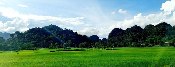 Bán đất giá 600 triệu tại Phú Vinh, Hòa Bình-03
