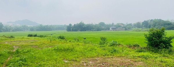 Bán đất tại Nhuận Trạch, Lương Sơn, Hoà Bình. Diện tích 1000m2-03