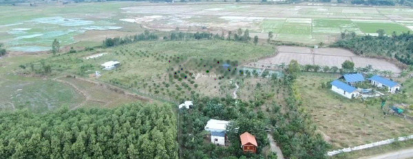 Vị trí mặt tiền tọa lạc ngay trên Ninh Hòa, Khánh Hòa bán đất giá bán cạnh tranh từ 450 triệu Diện tích nền 759m2-02