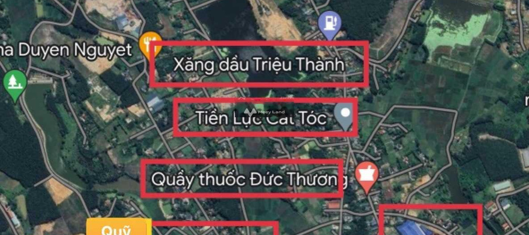 Triệu Thành, Triệu Sơn bán đất toàn bộ khu vực có diện tích 150m2