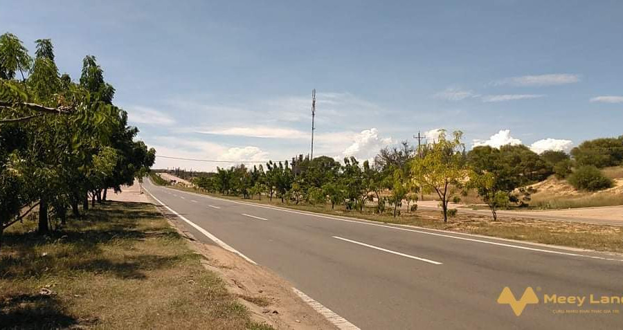 Bán 4169m2 đất Hồng Thái gần đường liên huyện ra sân bay Phan Thiết chỉ 646 triệu-01