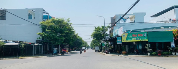 Mua bán đất quận Cẩm Lệ, Đà Nẵng, giá 3,39 tỷ-02