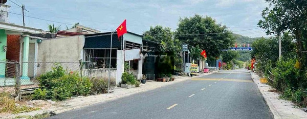 Bán mảnh đất, giá mua ngay chỉ 2.6 tỷ có diện tích chính 467m2-02