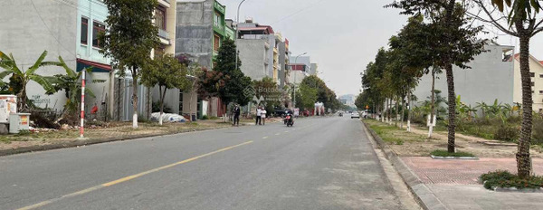 Bán đất tại Võ Cường, Bắc Ninh. Diện tích 100m2-02