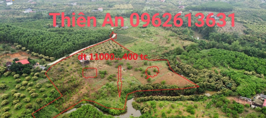 Bán gần 1.1ha vườn có 400m2 thổ cư, đất bằng phẳng tại Tân Mộc, Lục Ngạn, Bắc Giang, trên đất sẵn vải, suối