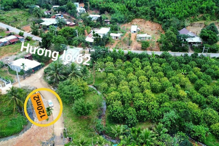 385 triệu bán đất diện tích khoảng là 146m2 mặt tiền tọa lạc ở Hương Lộ 62, Khánh Vĩnh, hướng Nam-01