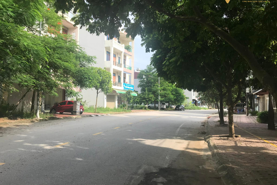 Bán đất mặt đường Trần Thánh Tông, phường Ngọc Châu, 138m2, mặt tiền 11m, đường 20,5m, kinh doanh tốt-01
