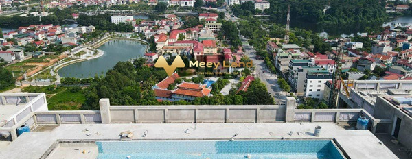 Cần chạy vốn gấp, bán chung cư tọa lạc gần Phường Tích Sơn, Tỉnh Vĩnh Phúc có diện tích gồm 75 m2-03