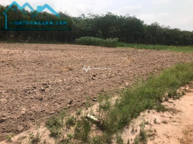 Vị trí đặt tại Tân Biên, Tây Ninh bán đất giá hiện tại 295 triệu diện tích cụ thể 115m2-01