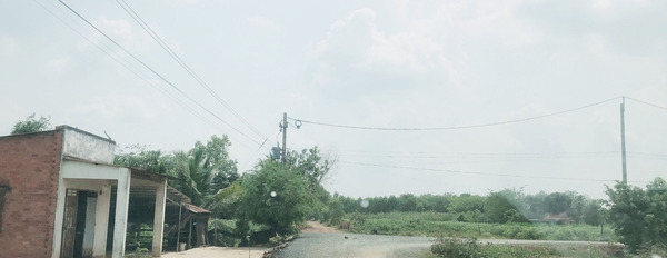Bán đất tại Tân Phong, Tân Biên, Tây Ninh. Diện tích 115m2, giá 300 triệu-03