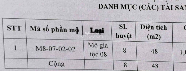 Bán mảnh đất 48m2 nằm tại Long Thành, Đồng Nai-03