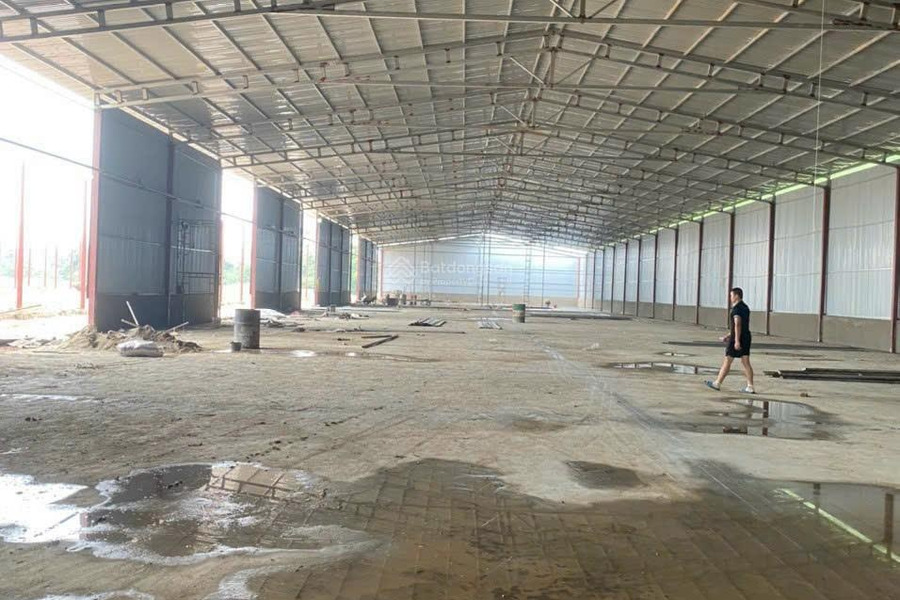 Cho thuê kho xưởng DT 500m2 - 10000m2 giá thuê 75k/m2, xe công ra vào An Khánh Hoài Đức -01