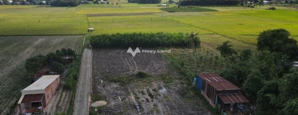 Bên trong Châu Văn Liêm, Bàu Năng bán đất giá bán cực sốc 550 triệu diện tích chính là 128m2-02
