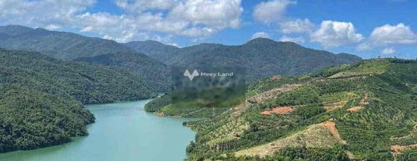 Giá bán thỏa thuận 2.15 tỷ bán đất diện tích thực dài 9000m2 vị trí đẹp ngay Đắk Nia, Đắk Nông-02