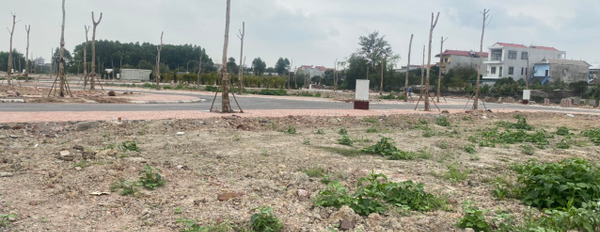 Đất nền tự xây duy nhất tại thành phố Bắc Giang, giá từ 24 triệu/m2, thanh toán 95% nhận sổ đỏ-03