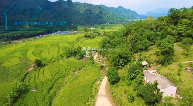 Ảnh hưởng dịch bán mảnh đất, 3468m2 giá bán giao lưu 3.5 tỷ vị trí đẹp ngay Tú Sơn, Kim Bôi giá siêu rẻ-01