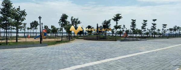 Tọa lạc ngay King Bay bán đất 2.38 tỷ Xã Long Tân, Tỉnh Đồng Nai diện tích chung là 125m2-02
