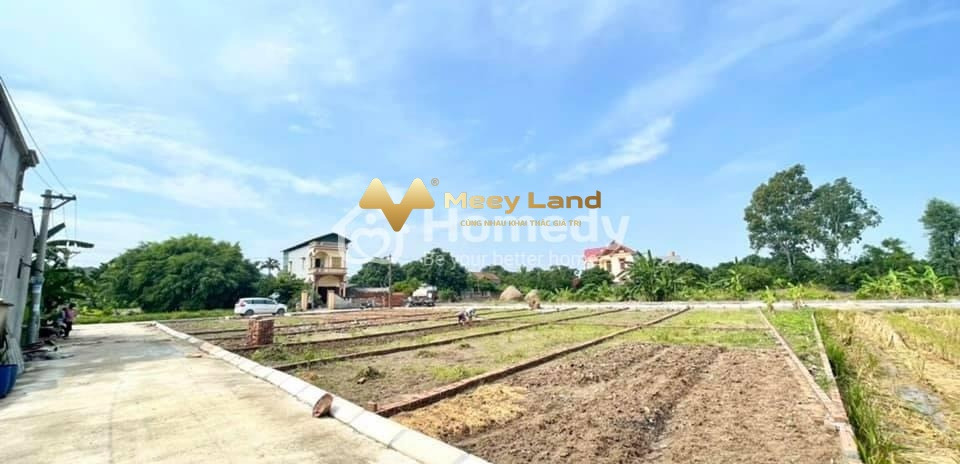 Nằm ở Hưng Yên, Tỉnh Hưng Yên bán đất giá bán khởi đầu chỉ 500 triệu có dt tổng 65 m2