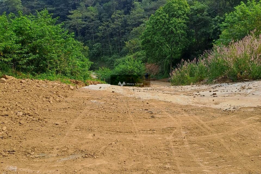 Cần chuyển nhượng gấp 20 đất làm du lịch sinh thái tại Lương Sơn Hòa Bình vị trí thuận lợi-01
