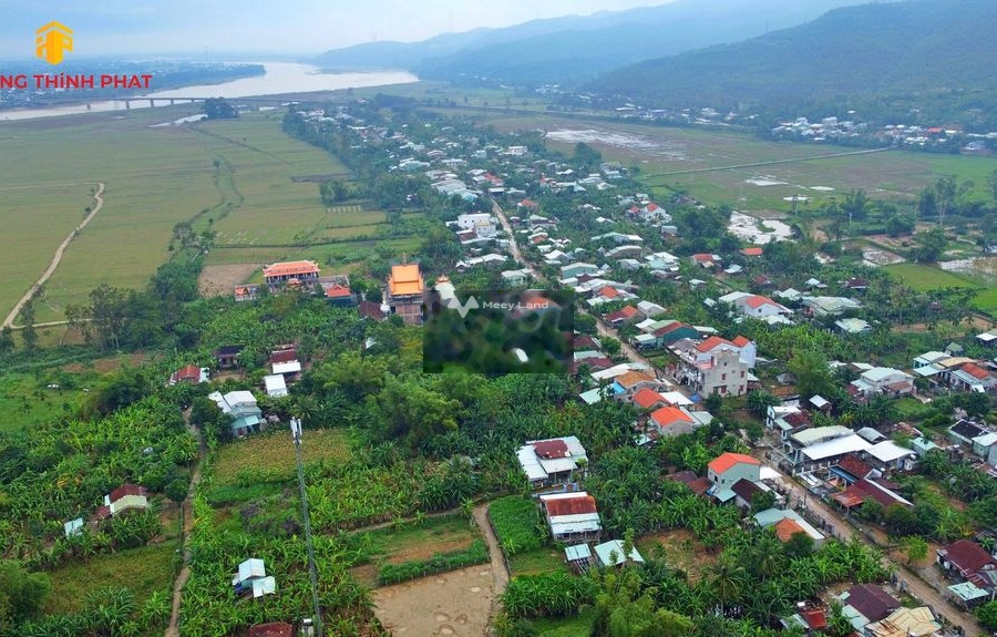 Đại Hồng, Đại Lộc 299 triệu bán đất diện tích thực dài 82m2-01