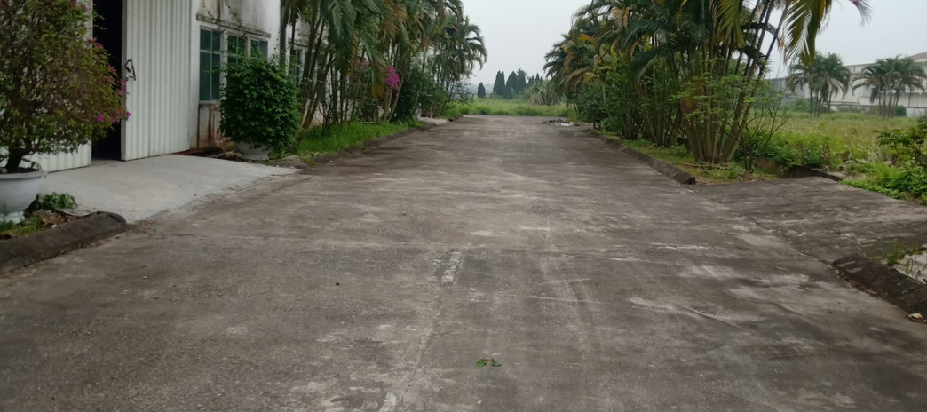 Bán 2ha đất công nghiệp mặt đường 39A Kim Động, Hưng Yên, sẵn 3000m2 nhà xưởng