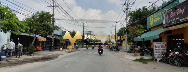 Bán đất vị trí tọa lạc ở Mỹ Hạnh, Đức Hòa, diện tích 50m2-03