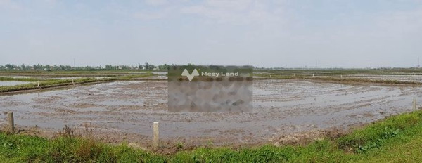 Thăng Bình, Quảng Nam bán đất giá bán chốt nhanh 165 triệu diện tích dài 962m2-03