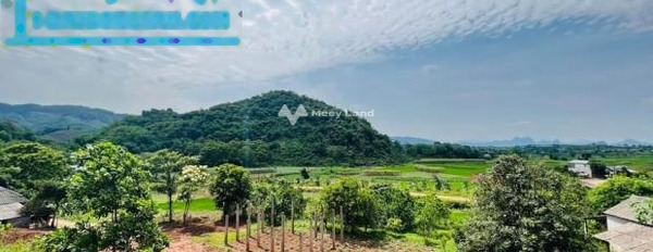 Từ 2.2 tỷ bán đất có diện tích chung 2000m2 vị trí thích hợp Nam Phong, Cao Phong-02