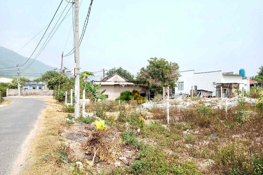 Vị trí mặt tiền tọa lạc ở Suối Tiên, Khánh Hòa bán đất giá mua liền 1.1 tỷ có diện tích quy ước 227m2-01
