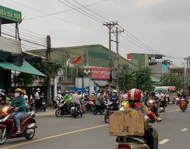 Đồng Phú, Bình Phước bán đất giá siêu rẻ chỉ 205 triệu diện tích sàn là 250m2-01