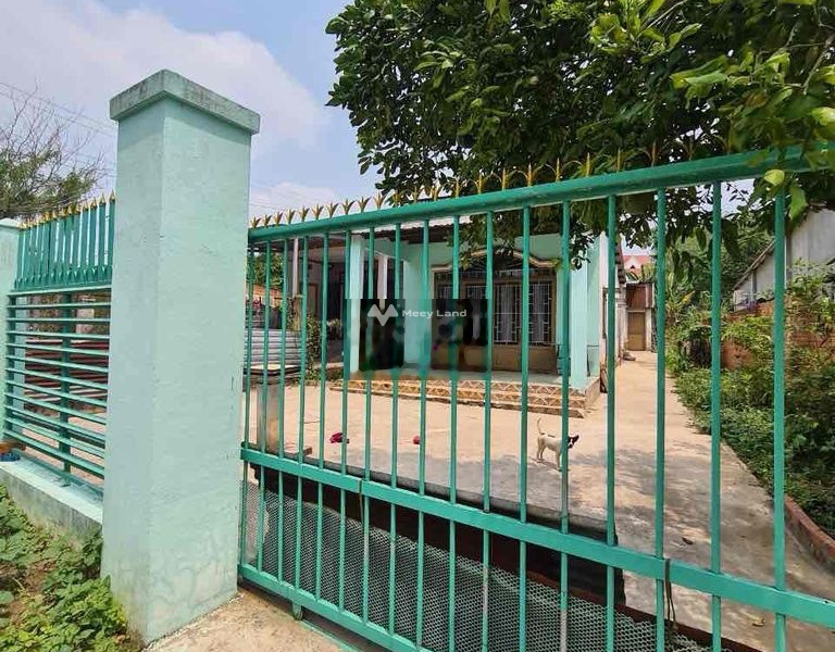 Bán đất nằm tại Phước Hòa, Phú Giáo giá 3 tỷ-01