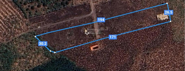 Bán mảnh đất diện tích 4833m2 tại Tây Kim, Đồng Nai-03