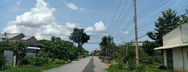Ở Xã Phan, Tây Ninh bán đất 480 triệu diện tích rộng rãi 522m2-03