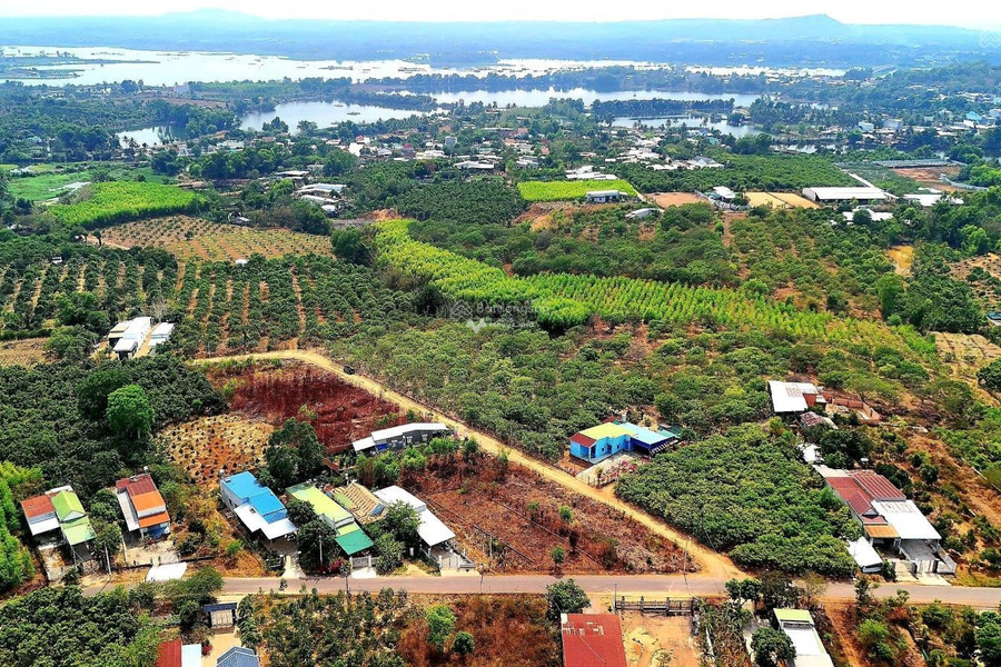 Bán đất có diện tích là 196m2 vị trí đẹp gần Định Quán, Đồng Nai-01