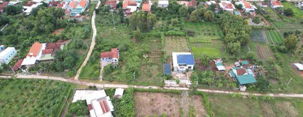 Giá bán mềm từ 980 triệu bán đất diện tích đúng với trên ảnh 5168m2 ngay ở Ninh Bình, Ninh Hòa, hướng Đông - Nam-02